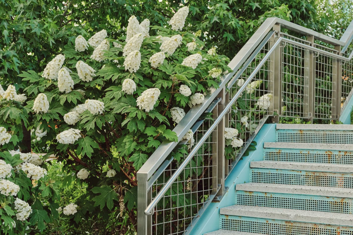 Garden stairs with mesh railing