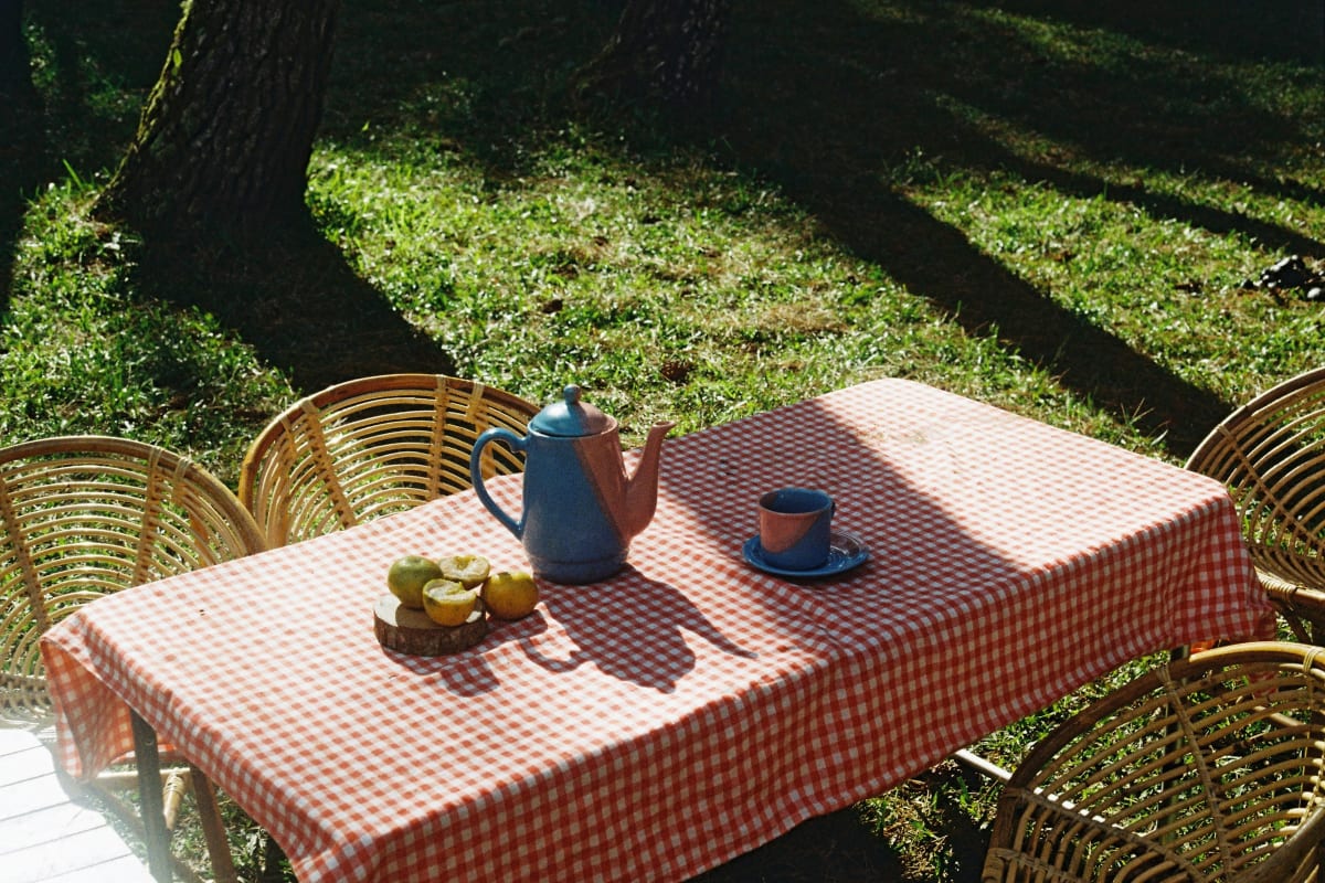 Picnic table set in a sunny yard