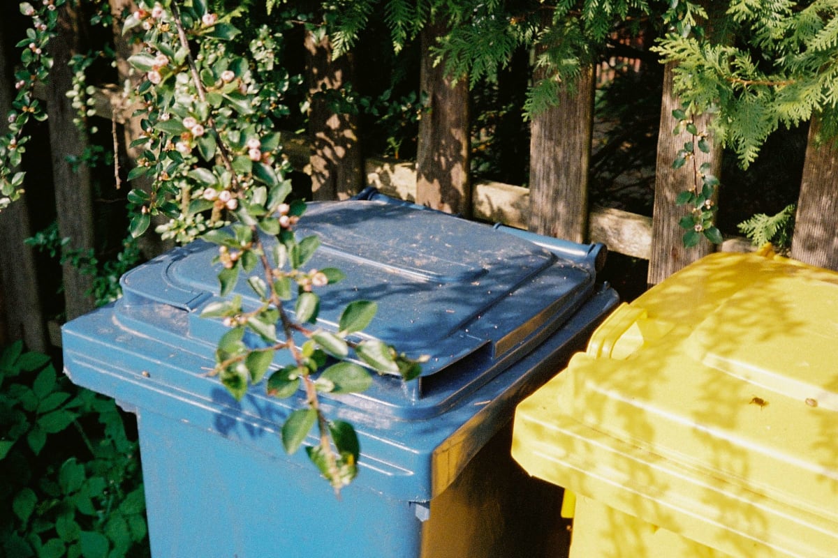 Blue and yellow trash bins by the fence