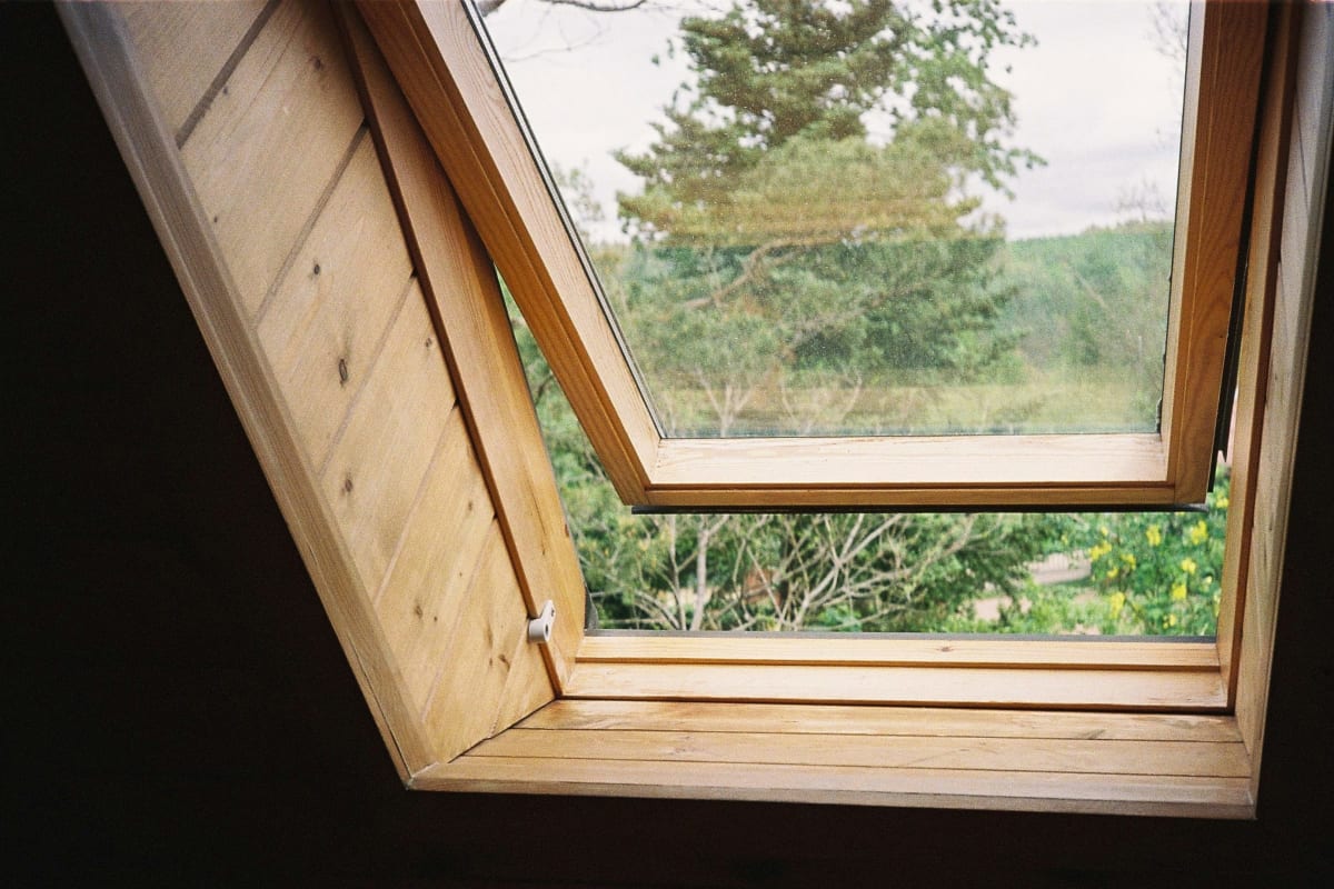 Open roof window looking out to the trees