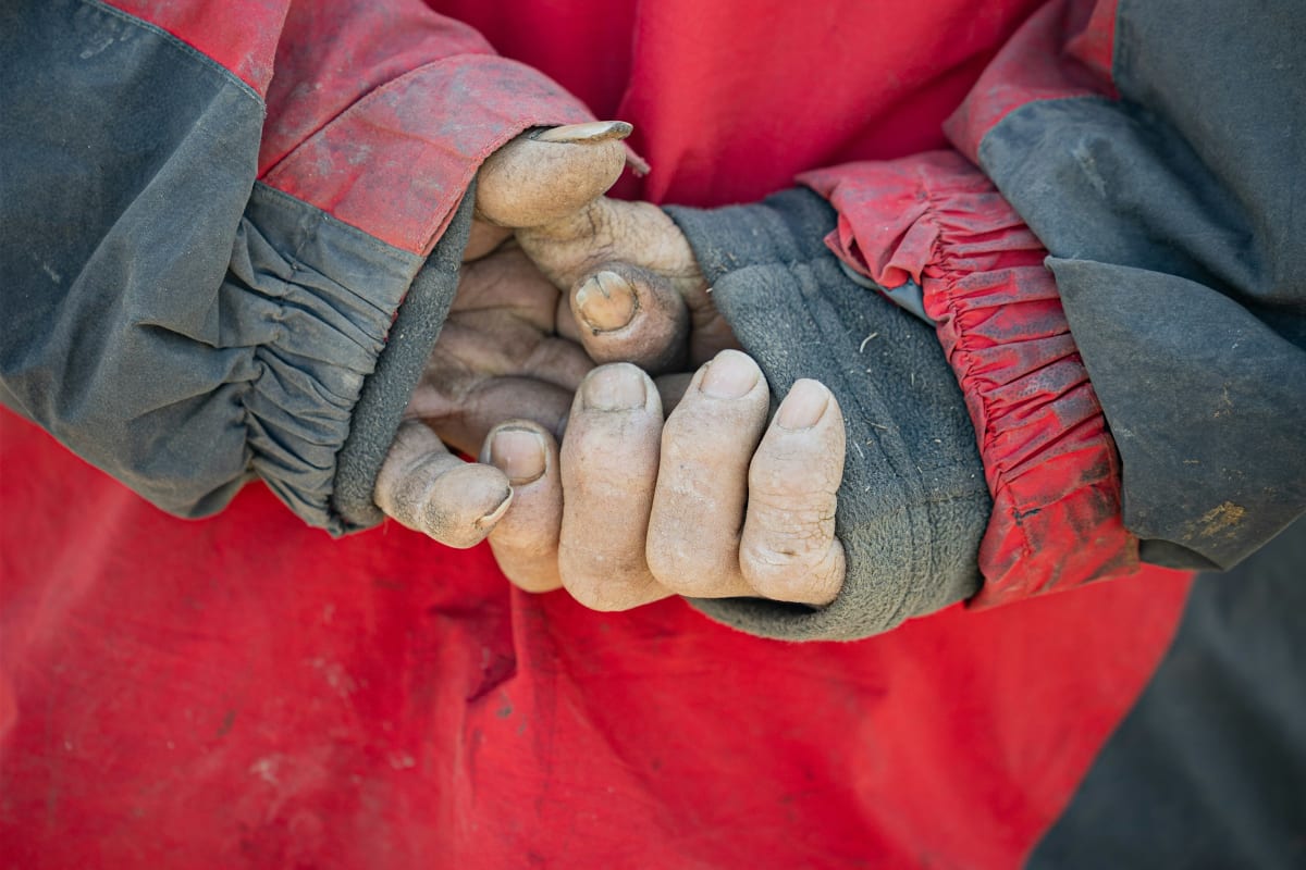 Worn work gloves on a laborer's hands