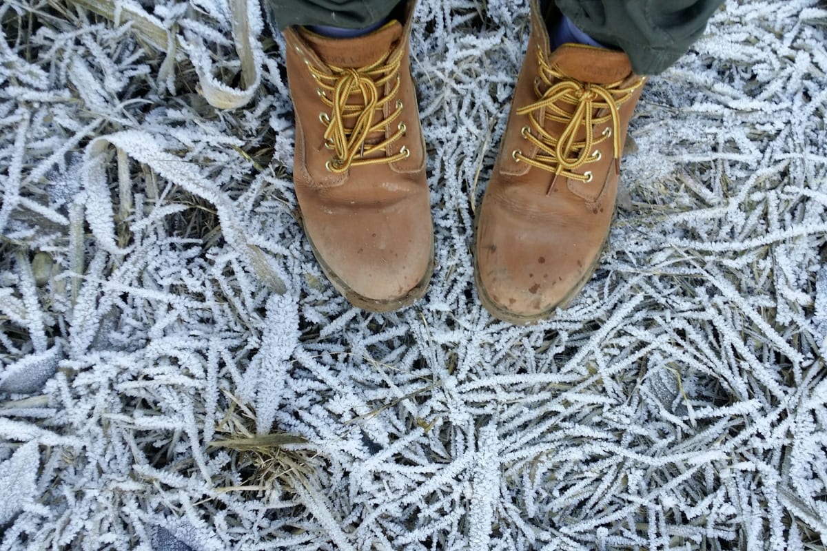 Work boots on frosty grass