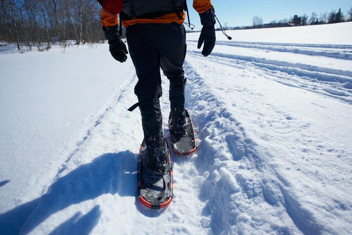 Walking a snowy trail