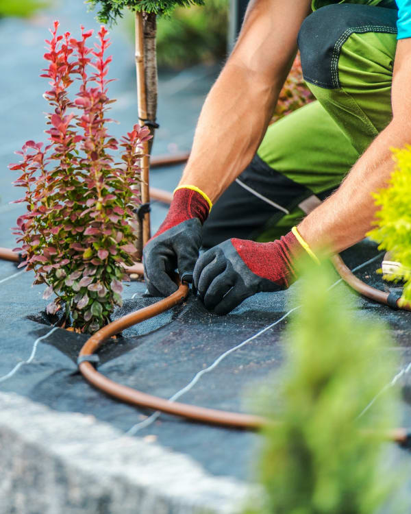 Landscape Fabric & Edging