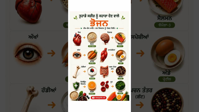 ਸਰੀਰ ਦੇ ਹਰ ਅੰਗ ਲਈ ਸਭ ਤੋਂ ਵਧੀਆ ਭੋਜਨ