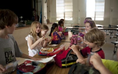 Supporting Children's Nutrition In School Settings