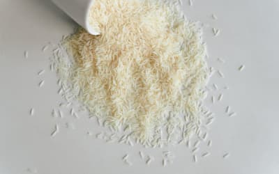 Rice vs Roti: Diabetes Risk & NICE BMI for South Asians