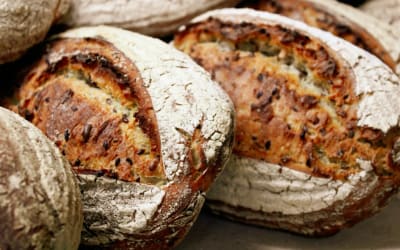 Best Bread for Diabetes: UK Shopping Tips