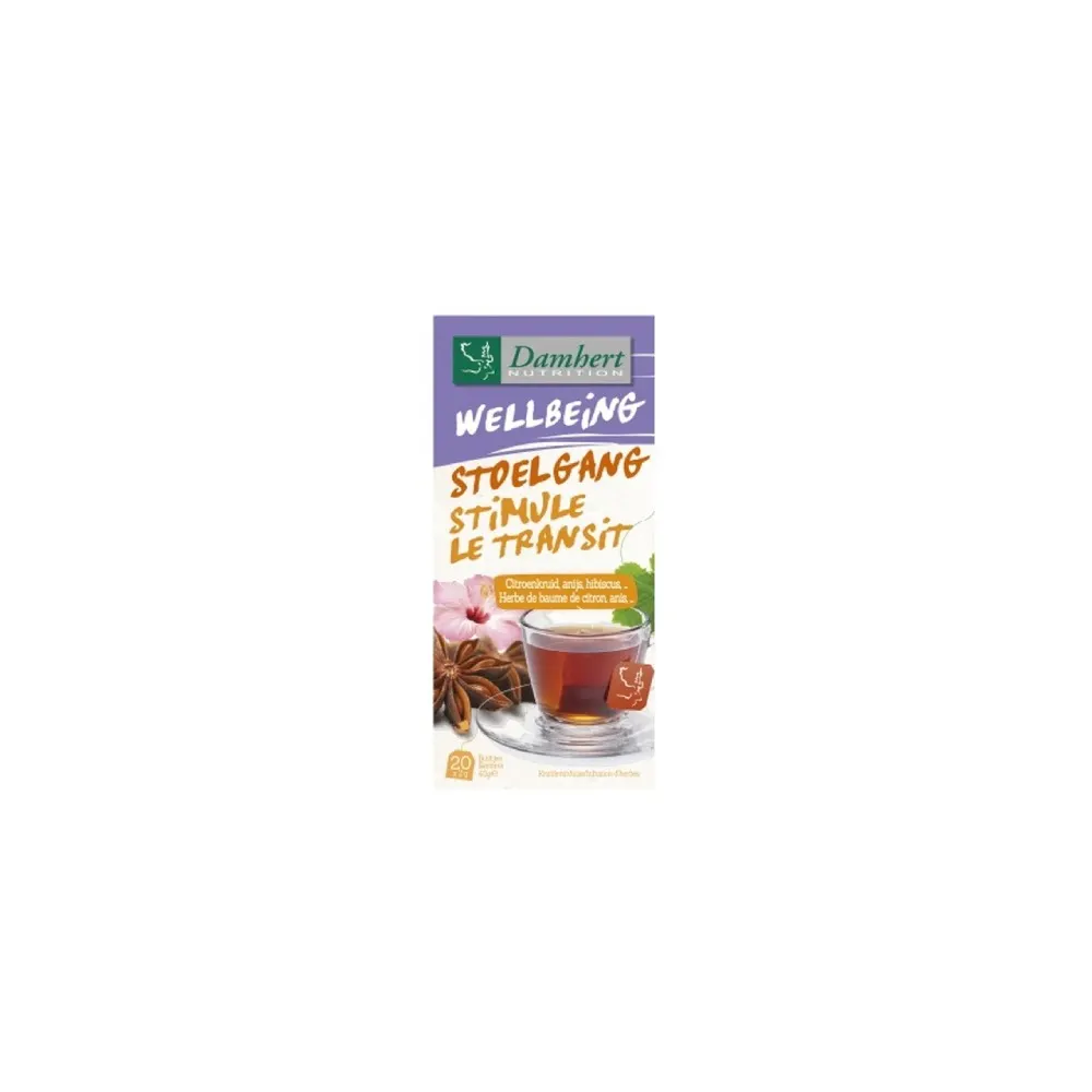 DAMHERT TISANE STIMULE LE TRANSIT 20 SACHET 40 G