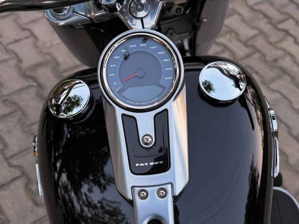 Harley Davidson Fat Boy 114 photo 6