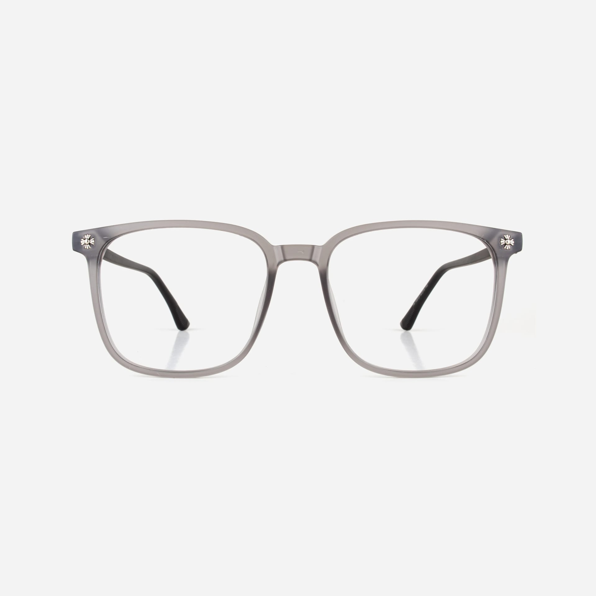 TFH - Gray 2