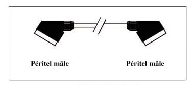 CABLE PERITEL M/M 1.5 M 21 PIN