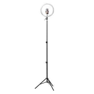 Anneau LED 12" avec trépied pour studio - INFLUENCE