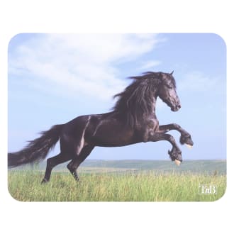 Illustrated mousepad - HORSES