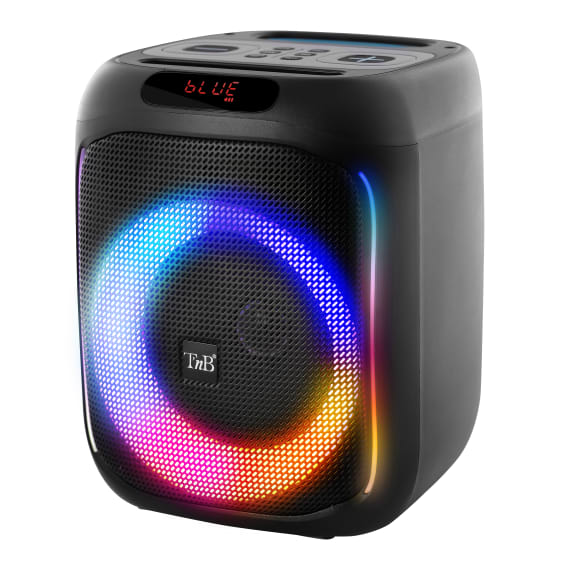 Speaker PARTY POWER black