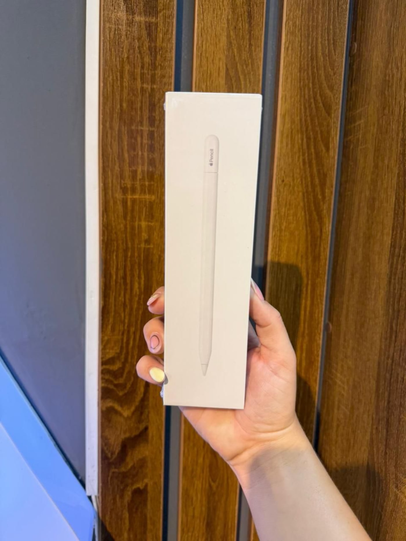 Apple Pencil Calidad 1.1