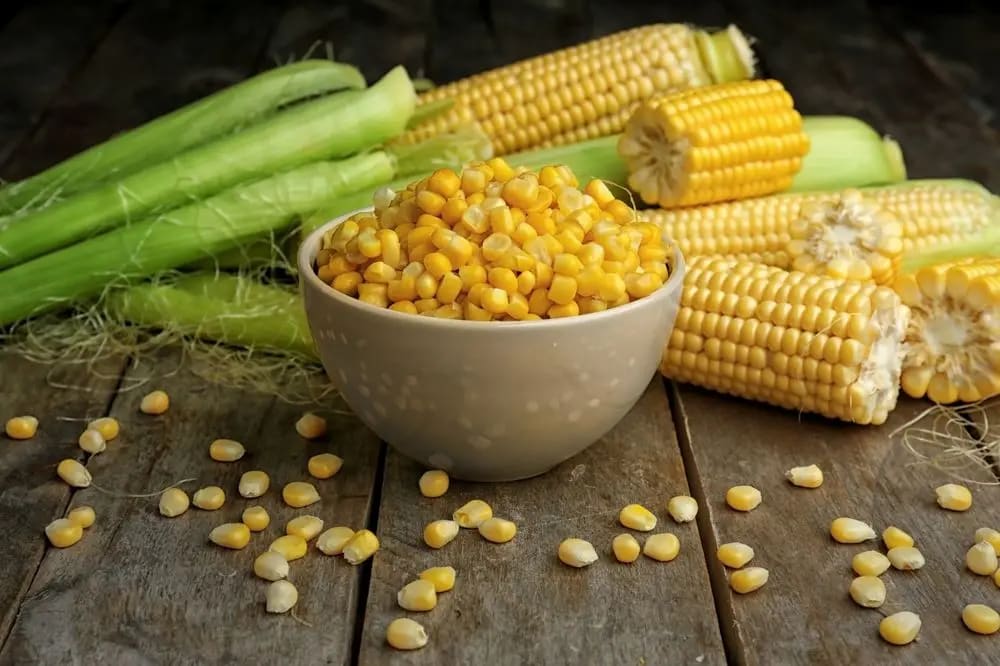 All-you-need-to-know-about-sweet-corn