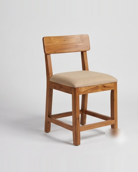 Cushioned Chair
