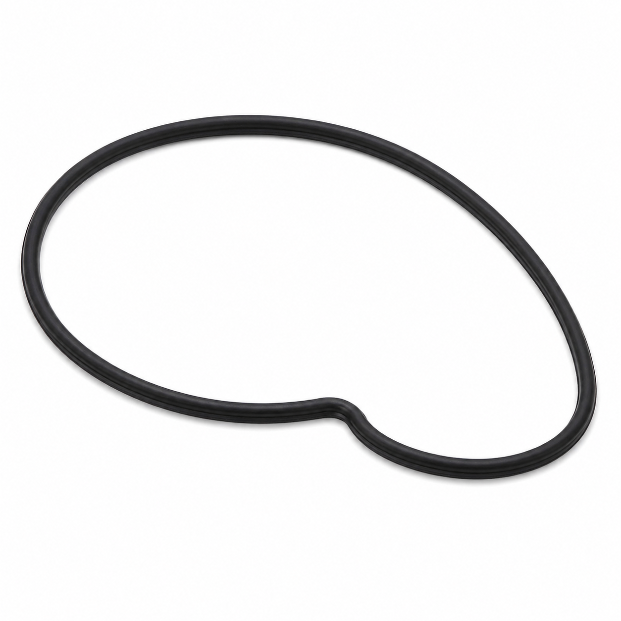 Water Pump Gasket