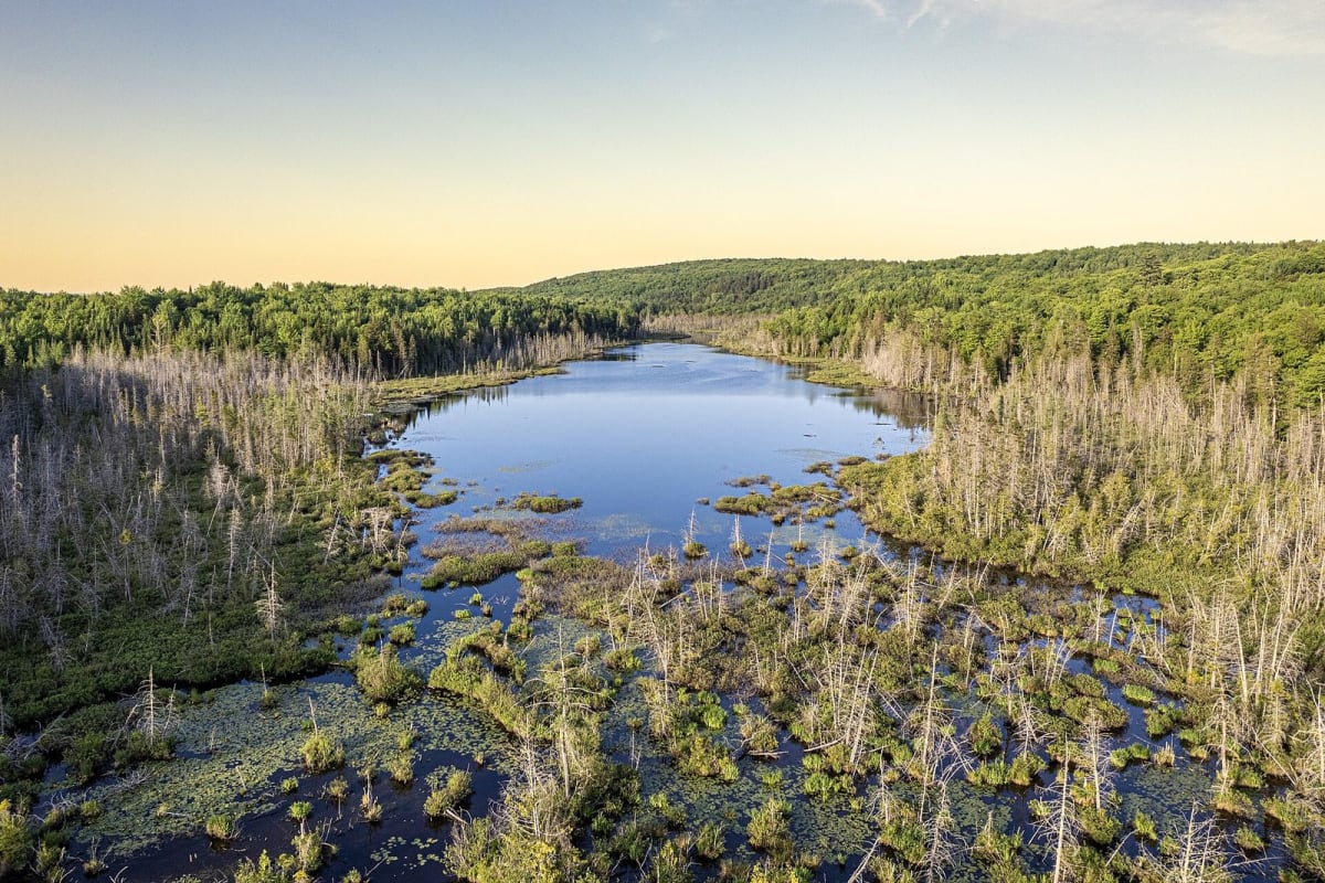 Le Canada rejette le renommage du lac Ontario par Donald Trump