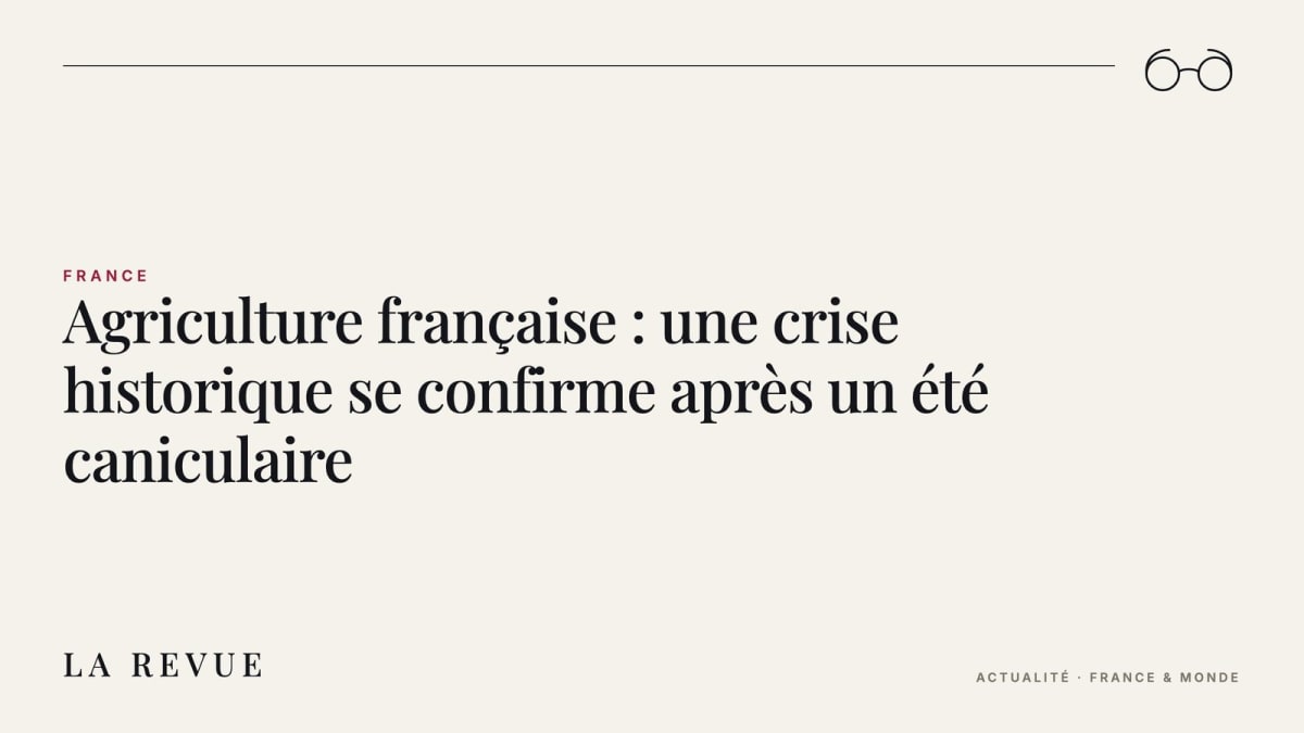 Agriculture française : une crise historique se confirme après un été caniculaire