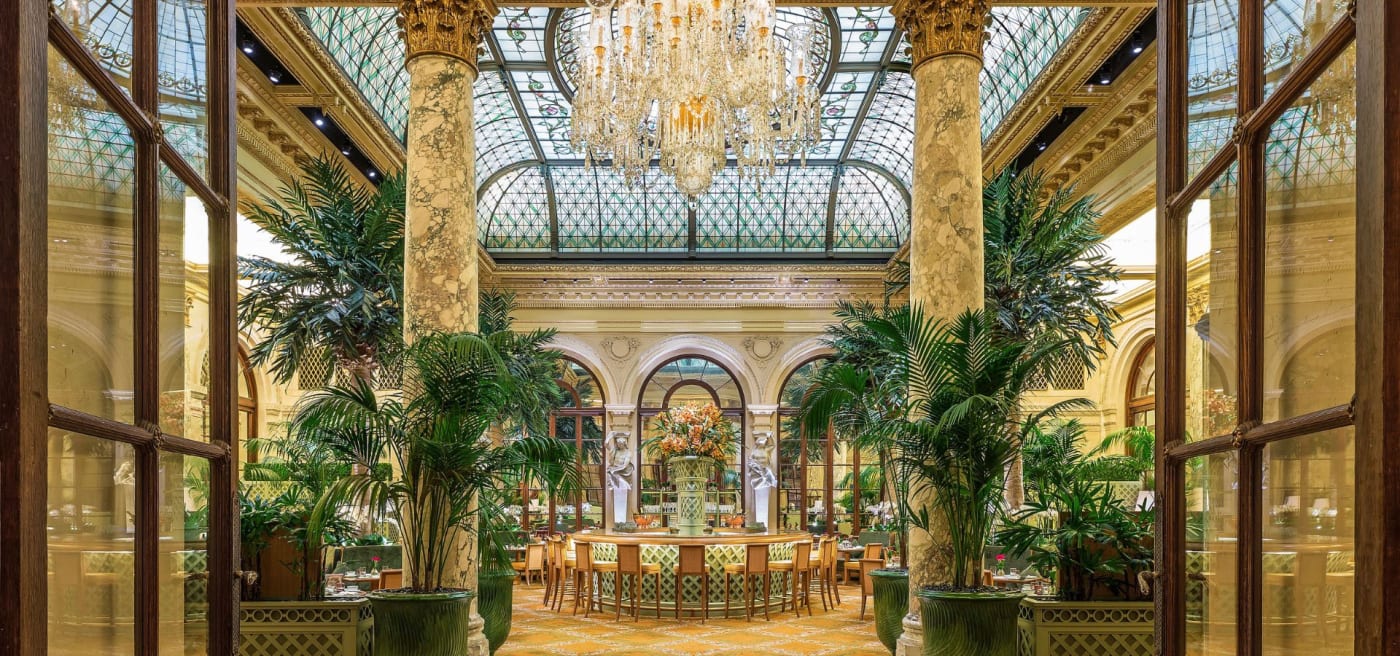 Le Palm Court de The Plaza New York, sa verrière et ses palmiers