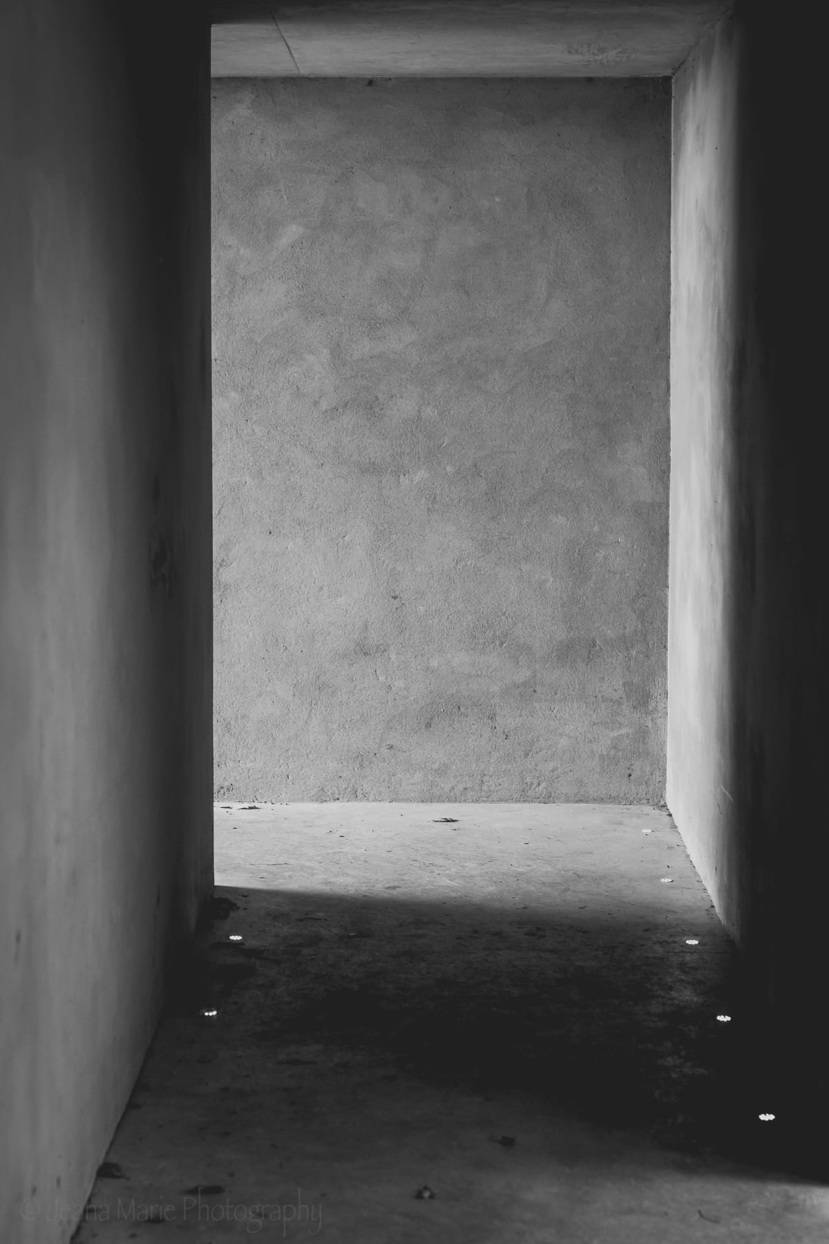 Taken on location in Yorkshire Sculpture Park. This photograph can also be found in my book, The Little Things.