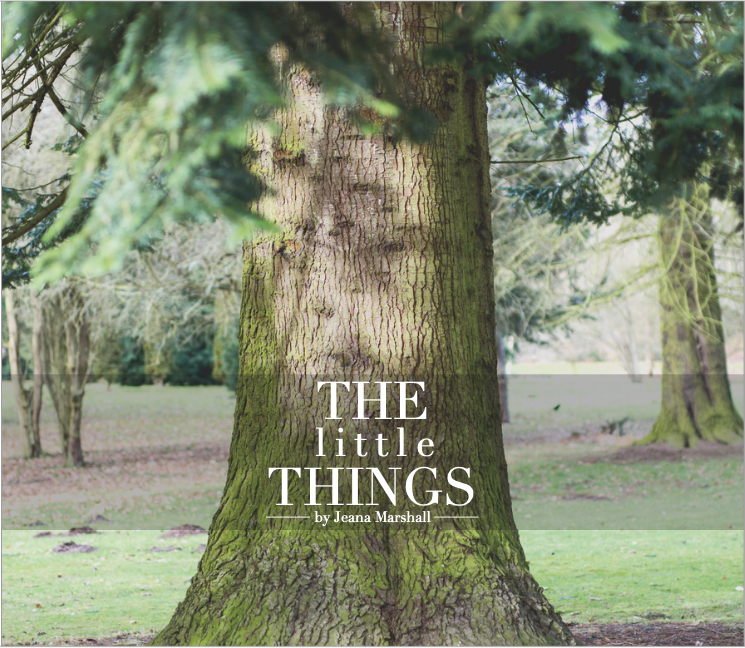 Cover of The Little Things by Jeana Marshall
