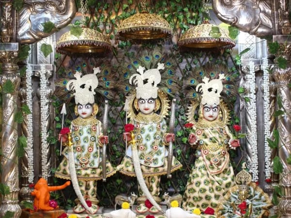 ઉત્સવ
