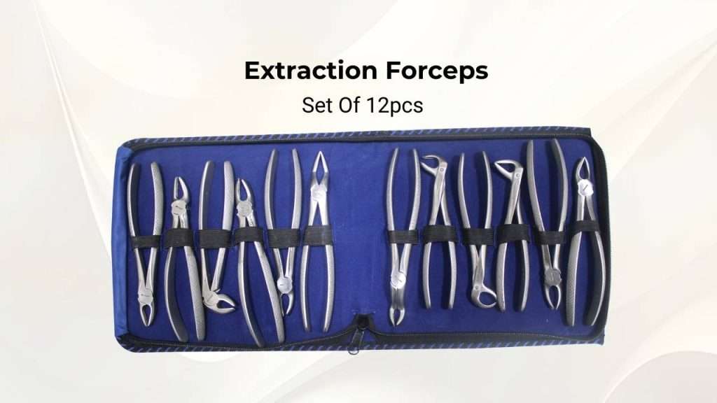 Extraction Forceps Set Of 12 Pieces