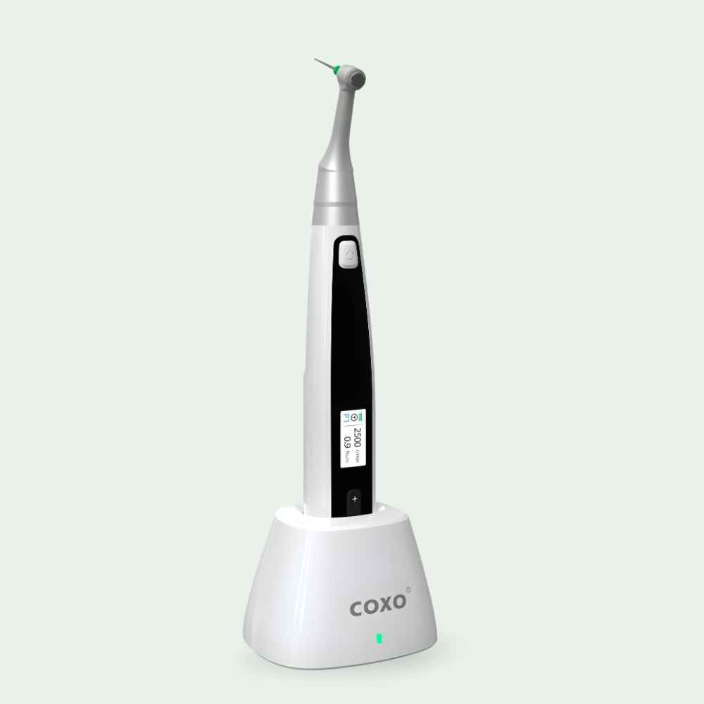 Coxo Endonova X Endomotor