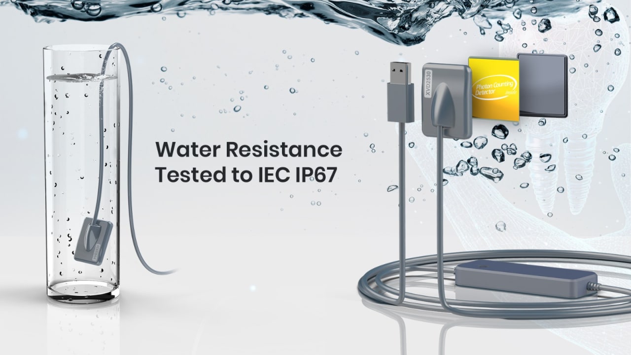 Xpect Vision Intraoral Sensor