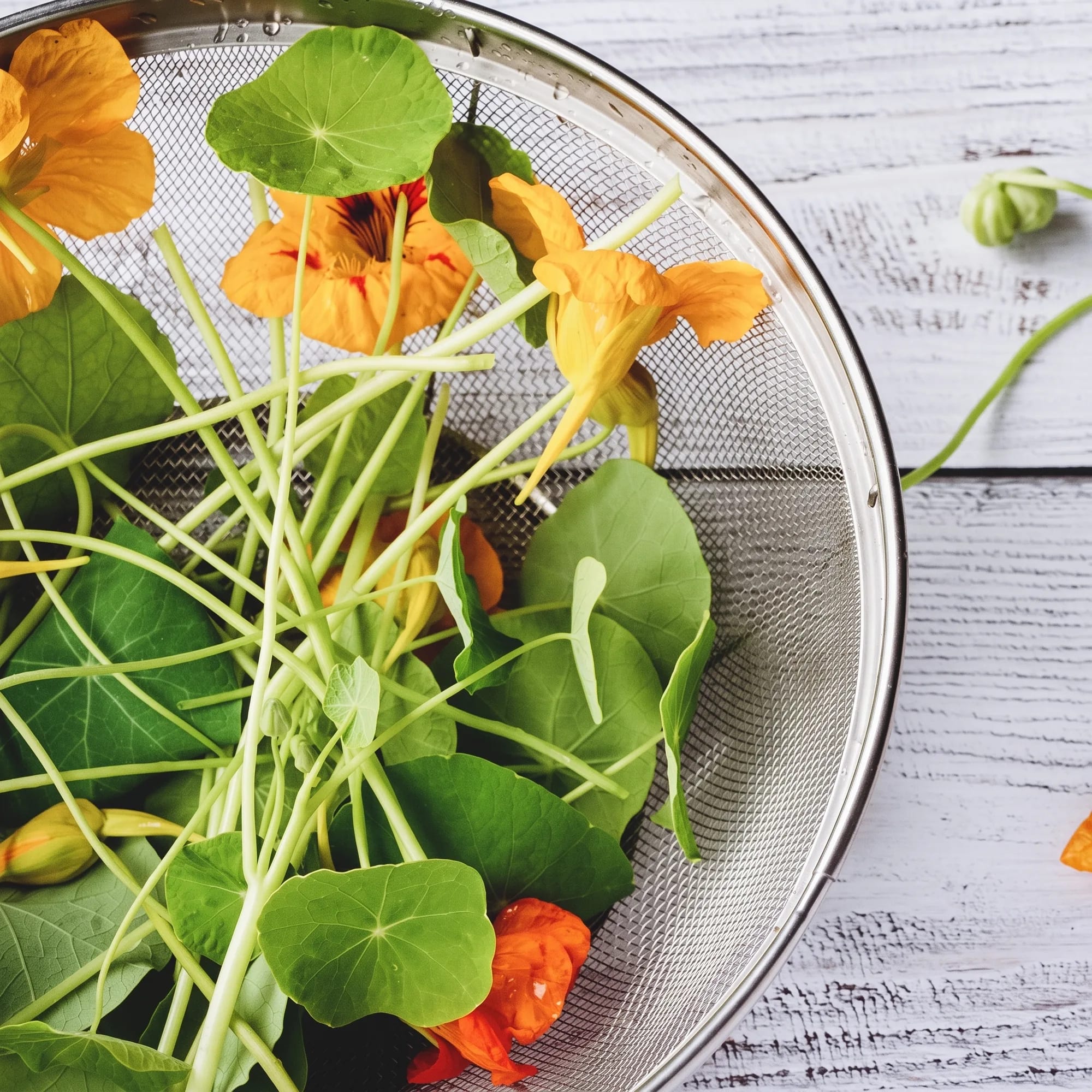 Dried Cornflowers serving idea — nasturtium flowers and leaves in a colander, from Agromel UK