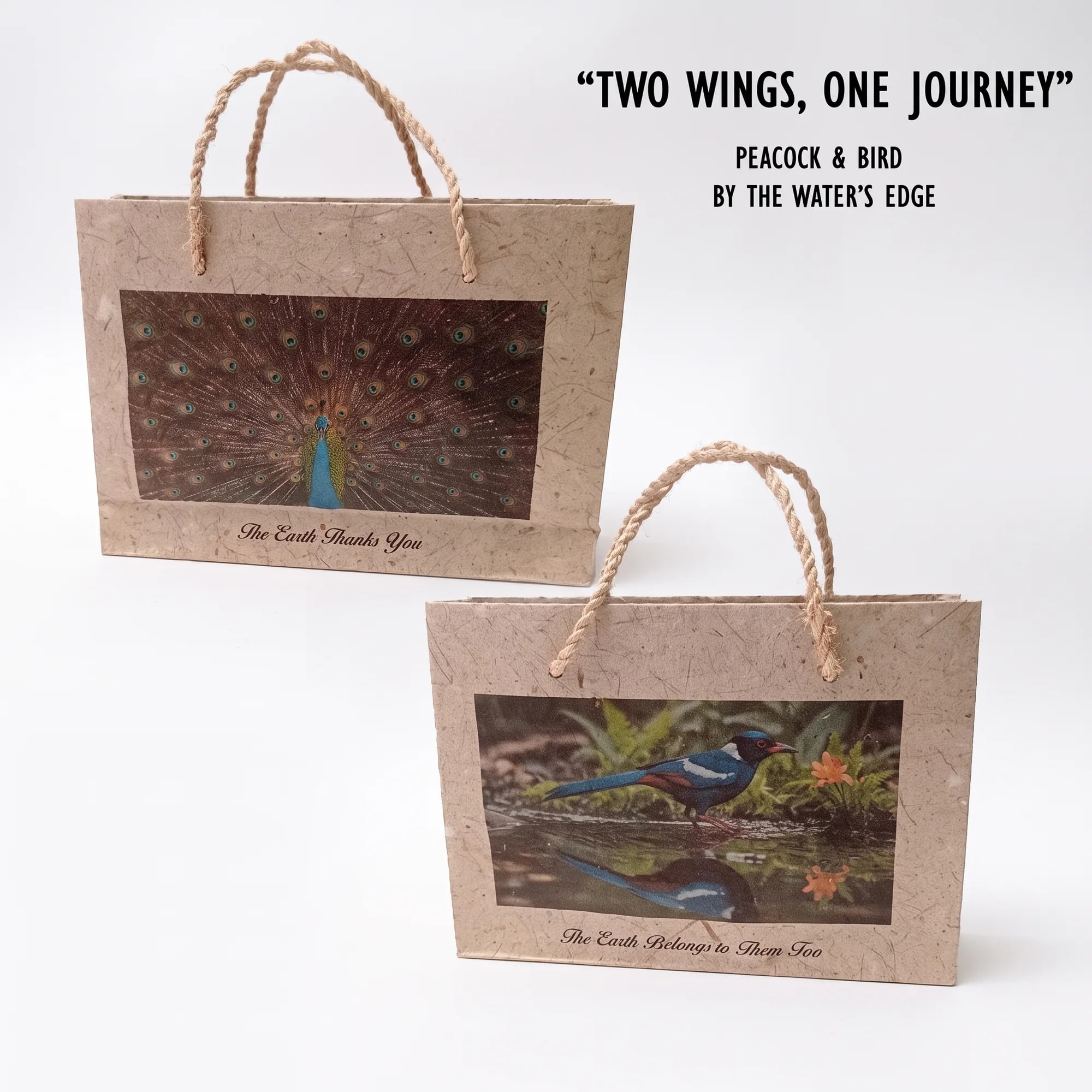 Handcrafted Bag — Peacock & Bird 7 × 5 in handmade paper gift bag with rope handles (view 2) — made in Sri Lanka, from Agromel UK