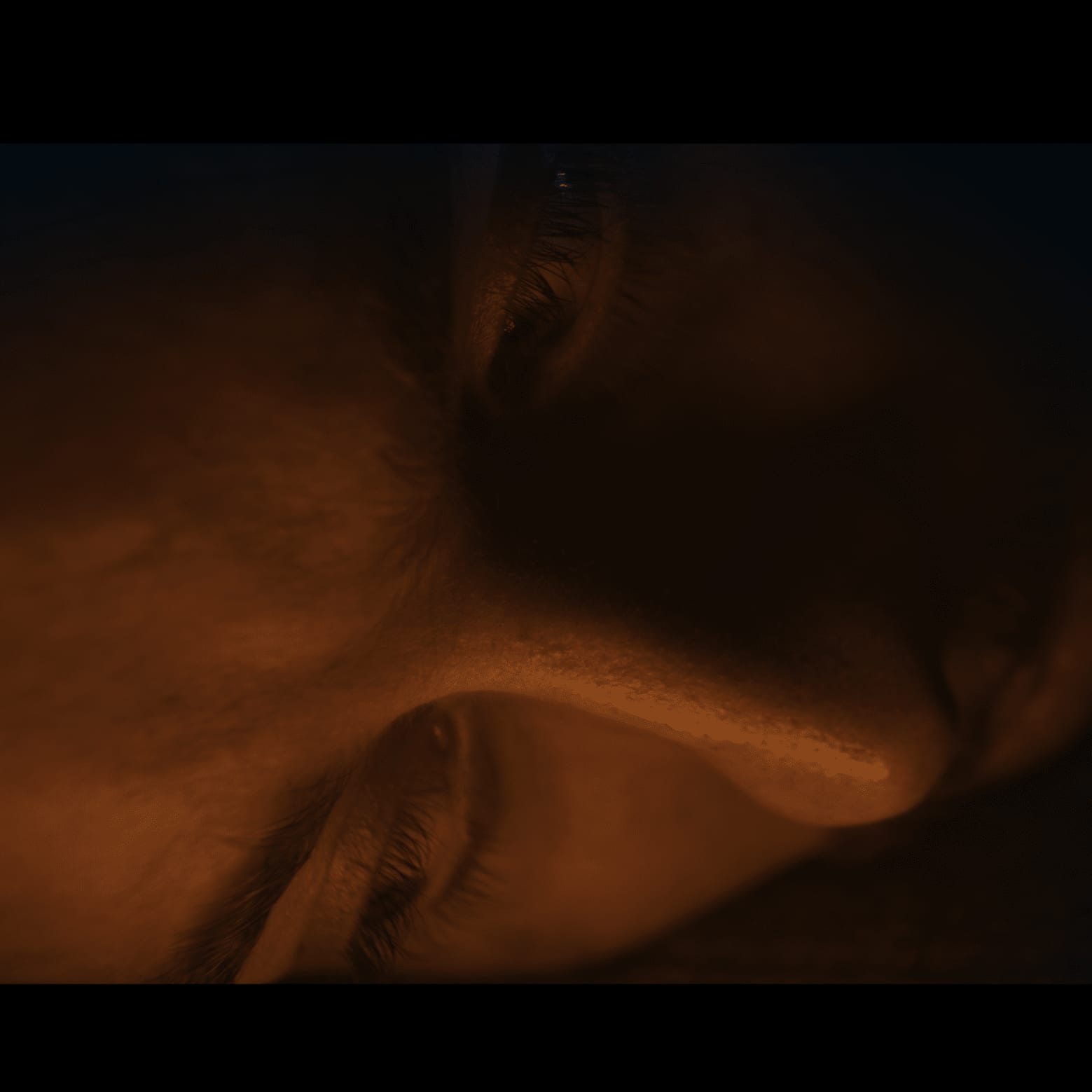 Peering down into the living room of the mansion from a hole in the loft.