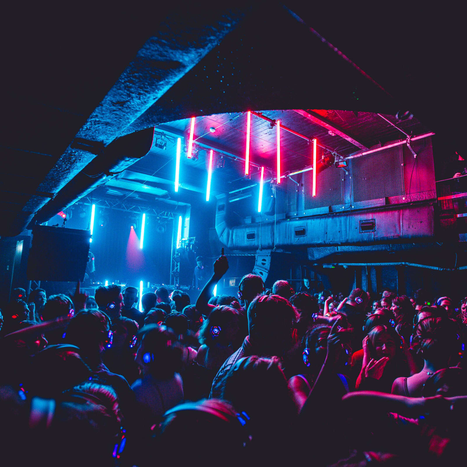  STFU © David Jeffery-Hughes