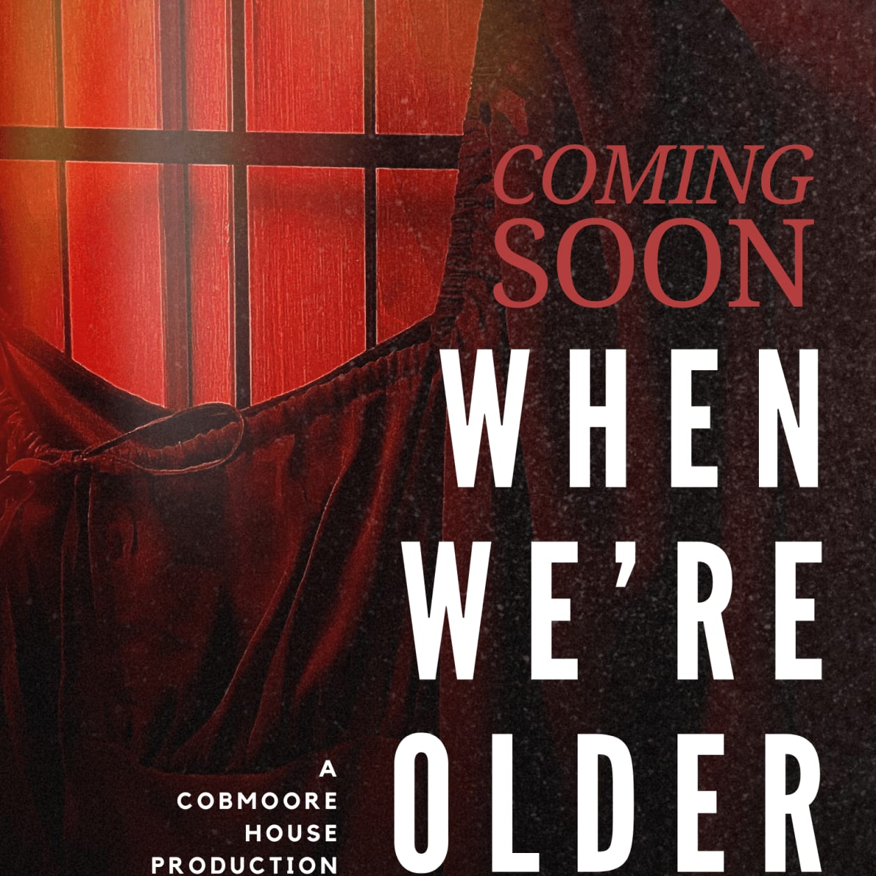 Film poster