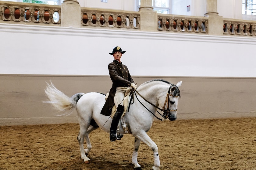 スペイン乗馬学校