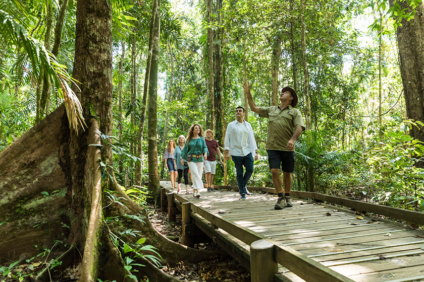 Billy Tea Safaris