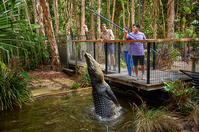 Hartleys Crocodile Adventures