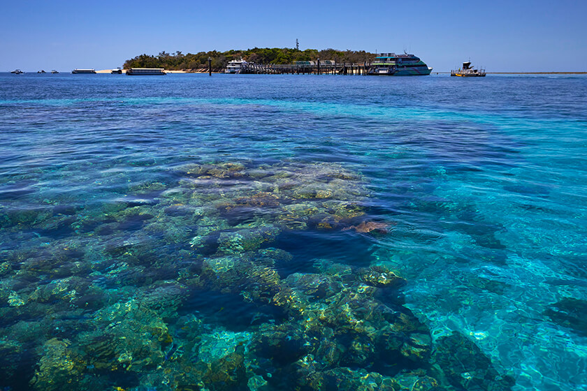 Big Cat Green Island Reef Cruises