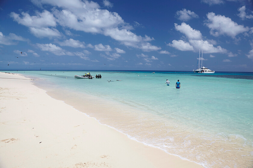 Michaelmas Cay, Great Barrier Reef, QLD