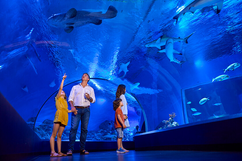 Cairns Aquarium