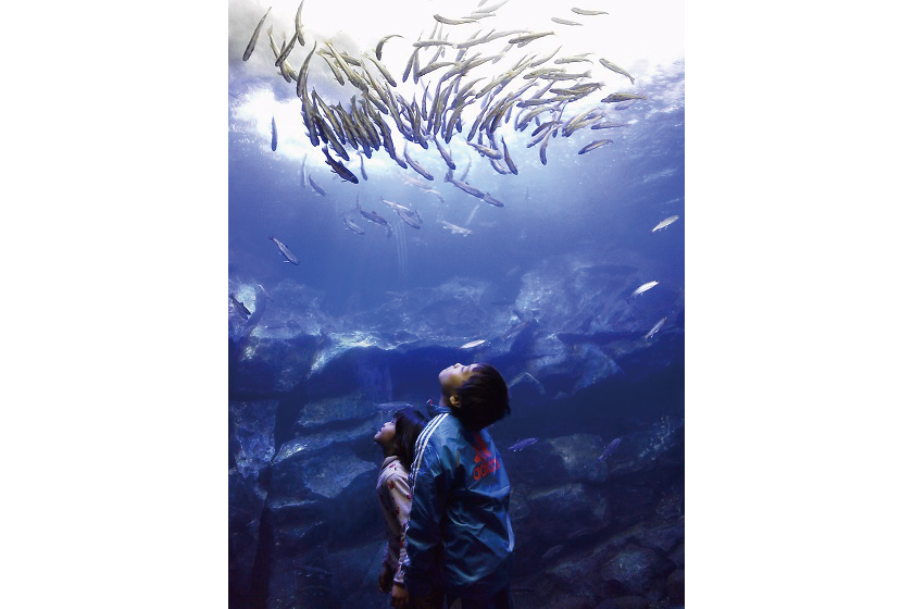 山の水族館-滝つぼ人入り