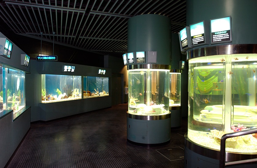 サンピアザ水族館水槽