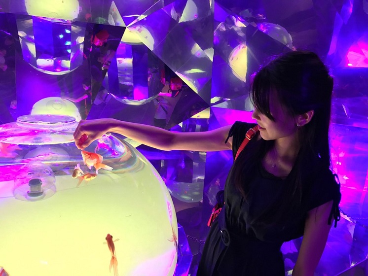 登別マリンパークニクス-金魚万華鏡