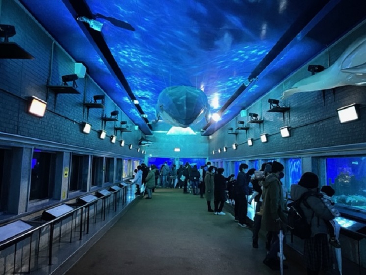市立室蘭水族館-館内1