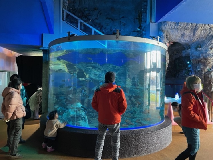 市立室蘭水族館-館内2