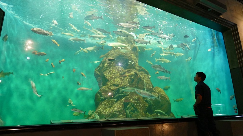 海水大水槽