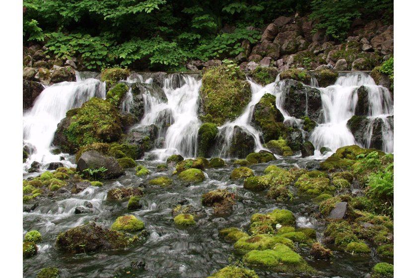 ふきだし公園 湧水口